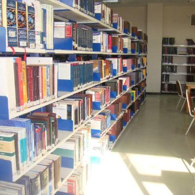 53079987827697194981